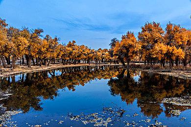 科学ADV《匿名代码》公开男女主角宣传视频